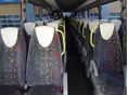 SCANIA 2010/3 - 8
