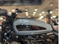 HARLEY-DAVIDSON SPORTSTER S 2024/8 - 8