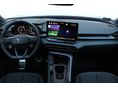 CUPRA TERRAMAR 2025/9 - 9