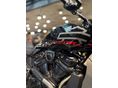HARLEY-DAVIDSON PAN AMERICA 2025/10 - 3
