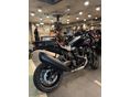 HARLEY-DAVIDSON PAN AMERICA 2025/10 - 5