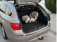 BMW 530 2011/11 - 13