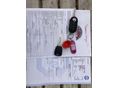 FIAT PUNTO 2010/9 - 12