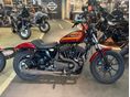 HARLEY-DAVIDSON SPORTSTER 2021/2 - 2