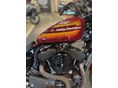 HARLEY-DAVIDSON SPORTSTER 2021/2 - 3