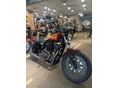 HARLEY-DAVIDSON SPORTSTER 2021/2 - 4