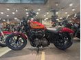 HARLEY-DAVIDSON SPORTSTER 2021/2 - 6