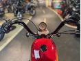 HARLEY-DAVIDSON SPORTSTER 2021/2 - 9
