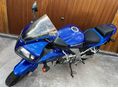 SUZUKI SV 650 S 2003/7 - 2