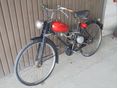 BIANCHI BERNINA 1955/6 - 2