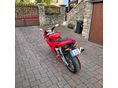 BENELLI TORNADO 2003/6 - 3