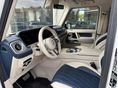 MERCEDES-BENZ G 400 2019/10 - 8