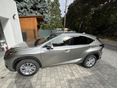 LEXUS NX 2020/8 - 8
