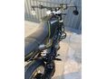 HUSQVARNA SVARTPILEN 401 2020/1 - 12