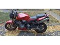 HONDA CB 900 F (HORNET) 2002 - 3