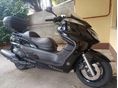 YAMAHA YP 400 MAJESTY 2009/5 - 3