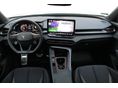 CUPRA TERRAMAR 2025/9 - 9