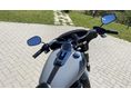 HARLEY-DAVIDSON SOFTAIL 2024/3 - 9