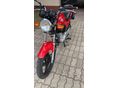 YAMAHA YBR 125 2006/5 - 7