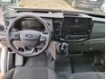 FORD TRANSIT 2026 - 6