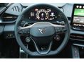 CUPRA TERRAMAR 2025/10 - 11