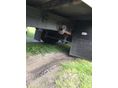 IVECO 2009/12 - 4
