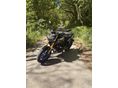 YAMAHA MT-09 2021/3 - 3