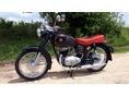 PANNONIA TLF 