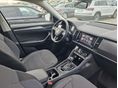 SKODA KODIAQ 2020/4 - 5