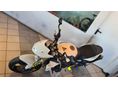 TRIUMPH STREET TRIPLE 675 R 2010/2 - 4