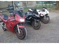 SUZUKI RF 400 R 1998/7 - 5