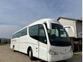 IVECO EURORIDER