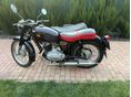 PANNONIA T5 