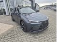 LEXUS NX 2025/8 - 2