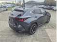 LEXUS NX 2025/8 - 5