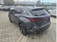 LEXUS NX 2025/8 - 4