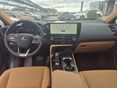LEXUS NX 2025/8 - 6