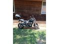 SUZUKI GSX 1400 2004/3 - 4