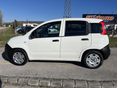 FIAT PANDA 2013/9 - 2