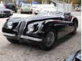 JAGUAR XK 1952/4 - 1