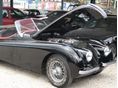 JAGUAR XK 1952/4 - 7
