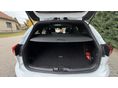 FORD FOCUS 2019/10 - 11