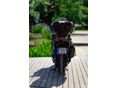 YAMAHA TMAX 2023/8 - 6