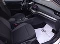 SKODA OCTAVIA 2023/7 - 6