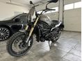 BENELLI LEONCINO 800 2024/3 - 1