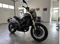 BENELLI LEONCINO 800 2024/3 - 2