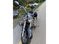 YAMAHA XVS 1100 A DRAG STAR 2003/8 - 2
