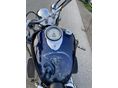 YAMAHA XVS 1100 A DRAG STAR 2003/8 - 3