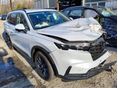 HONDA CR-V 2025/7 - 1