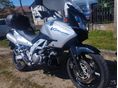 SUZUKI DL 1000 